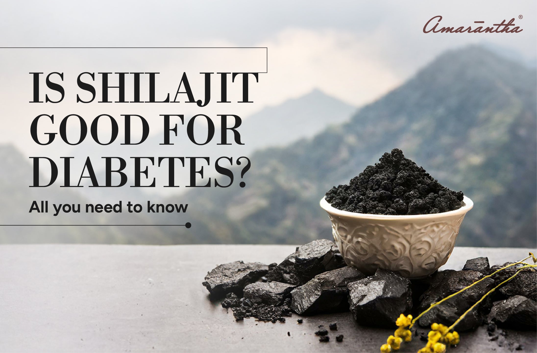 Is shilajit good for diabetes? All you need to know