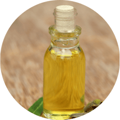 Ghandhpura <i>(Gaultheria fragrantissima)</i>