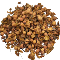 Nagkeshar (<i>Mesua ferrea)</i>