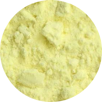 Haridra (<i>Curcuma longa)</i>