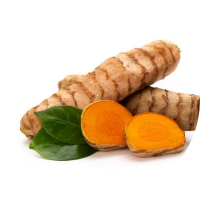 Haridra (Curcuma longa)