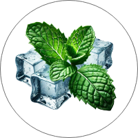 Menthol <i>(Mentha arvensis)</i>