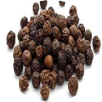 Maricha (Piper nigrum)
