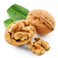 Walnut Shells <i>(Juglans regia)</i>